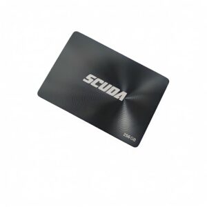 Starlite 256GB Sata SSD (Scuda) Main